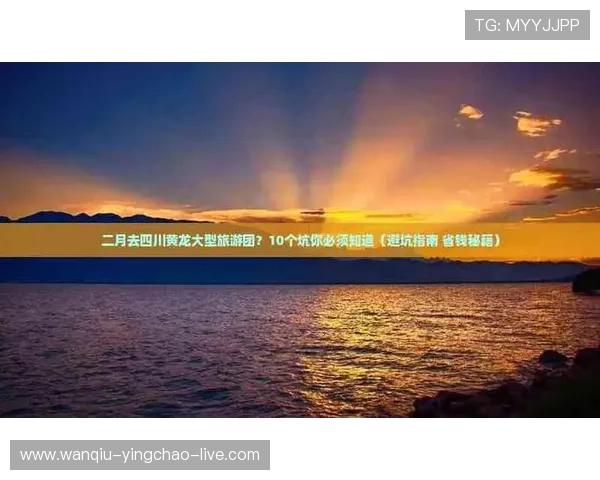 手机怎么玩球避坑指南彩票与数字高频玩法防骗 手机怎么玩球避坑指南彩票与数字高频玩法防骗